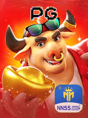 NN55 cadastro — tela de formulário no app oficial
