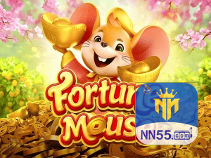 NN55 login — configurações de segurança e proteção de conta